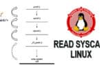 READ SYSCALL LINUX