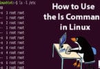 How to Use the ls Command in Linux