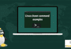 Linux chown command examples