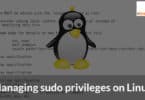 Managing sudo privileges on Linux