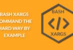 Bash Xargs Command the Hard Way by Example