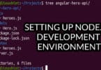 Setting Up Node.js Development Environment