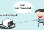 Bash trap command