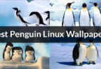 Best Penguin Linux Wallpapers