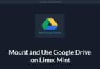 Mount and Use Google Drive on Linux Mint