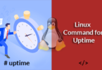 Linux Command for Uptime