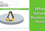 What is Network Penetration Testing