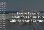 How to Rename a Batch of Files in Linux with the rename Command