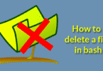 How to delete a file in bash