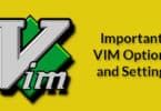 Important VIM Options and Settings