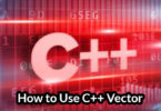 How to Use C++ Vector