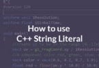 How to use C++ String Literal