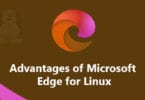 Advantages of Microsoft Edge for Linux