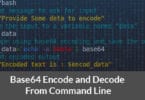 Base64 Encode and Decode From Command Line