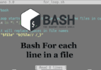 Bash-For-each-line-in-a-file