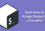 Bash How to Assign Output to a Variable?