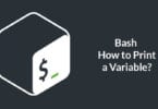 Bash How to Print a Variable?