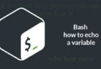 Bash how to echo a variable