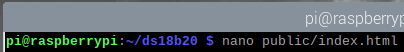 nano public indexhtml